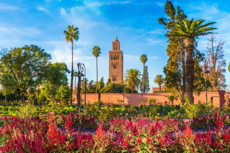 مراكش(المغرب)